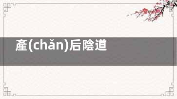 產(chǎn)后陰道松弛修復手術(shù)是什么？原理、術(shù)式、結(jié)果全解析
